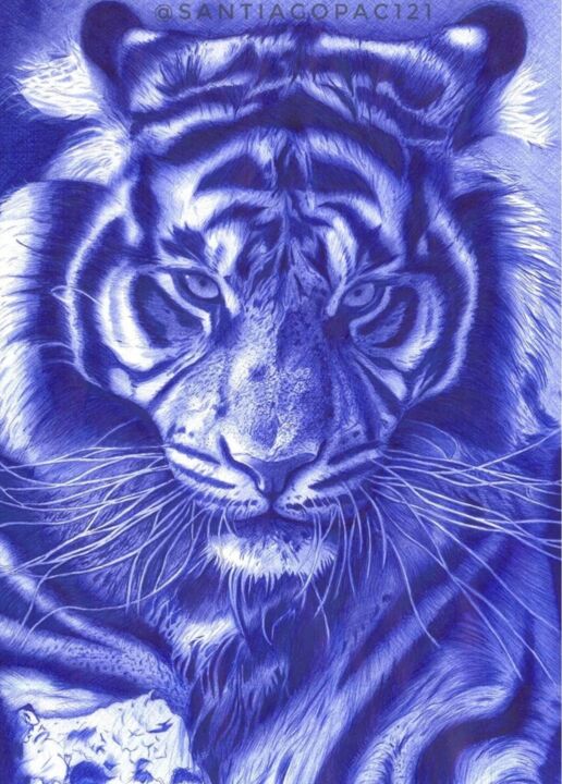 Drawing titled "Tigre" by Santiago Arias Arias, Original Artwork, Ballpoint pen