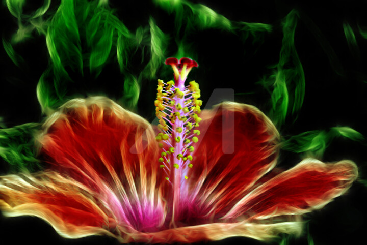 Fotografía titulada "HIBISCUS I FOC" por Santos Merchán, Obra de arte original, Fotografía manipulada