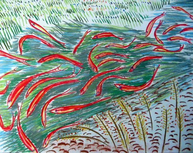 Drawing titled "corriente de salmon…" by Horacio Gabriel Santos Tolstoy, Original Artwork