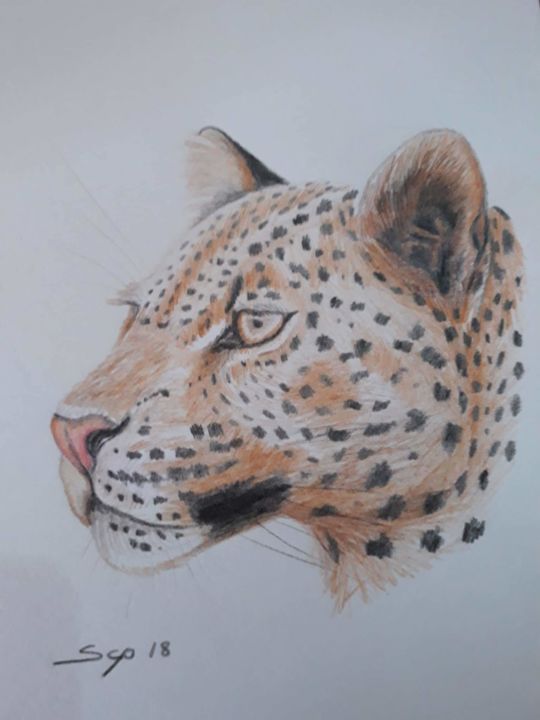 Painting titled "Leopard" by São Vieira, Original Artwork, Pencil