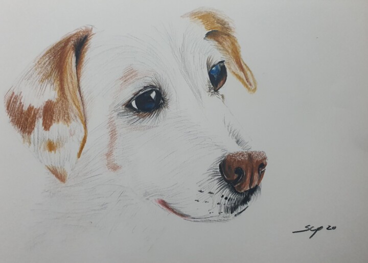 Painting titled "Dog" by São Vieira, Original Artwork, Pencil