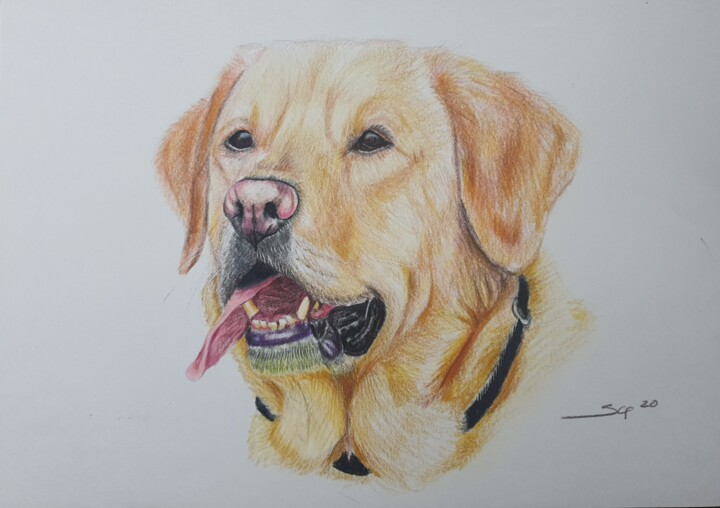 Painting titled "My dream dog" by São Vieira, Original Artwork, Pencil