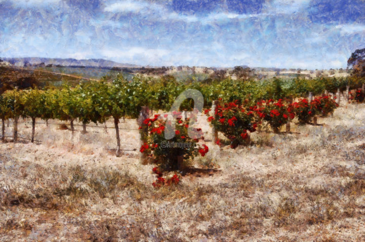 Digitale Kunst getiteld "Seppeltsfield Vines" door Alan Carson, Origineel Kunstwerk