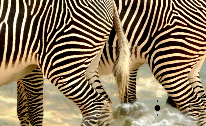 Fotografie mit dem Titel "SKī ZEBRAS" von Sarah-Jane Marie-Louise, Original-Kunstwerk, Manipulierte Fotografie