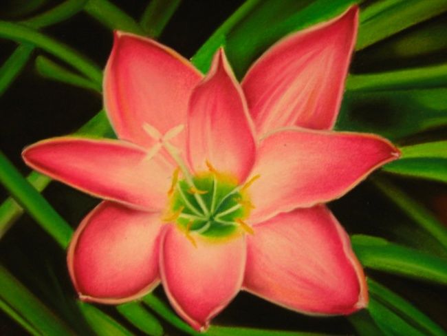 Painting titled "A single crocus blo…" by Sarah Davidar, Original Artwork