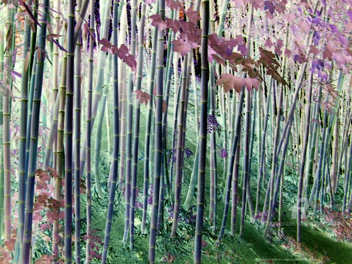 Photographie intitulée "Bambou 2016-390" par Sarah Leseigneur, Œuvre d'art originale, Photographie numérique