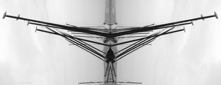 Photographie intitulée "Fly" par Sarah Leseigneur, Œuvre d'art originale, Photographie numérique