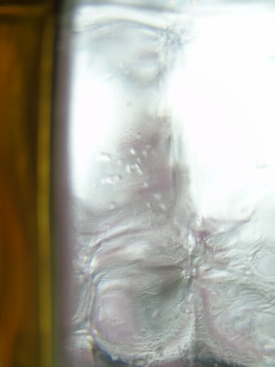 Photographie intitulée "la dame de verre" par Sarai David, Œuvre d'art originale