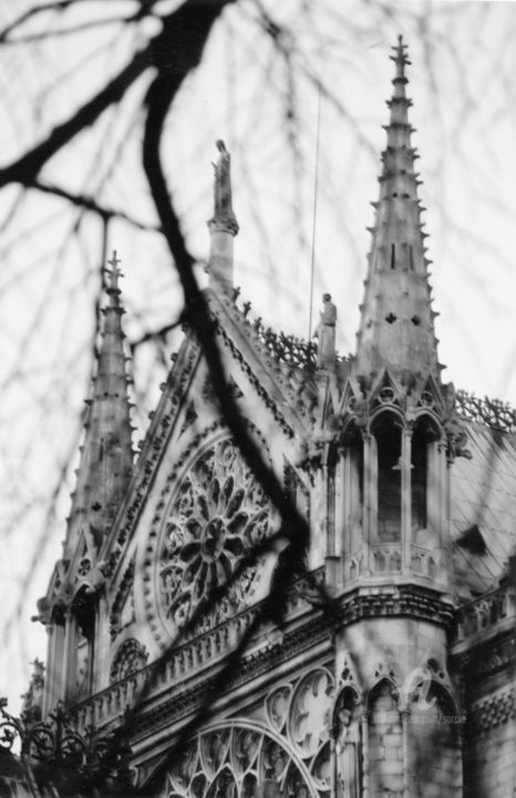 Photography titled "Notre-Dame de Paris…" by Sarcie, Original Artwork, Analog photography Mounted on Other rigid panel