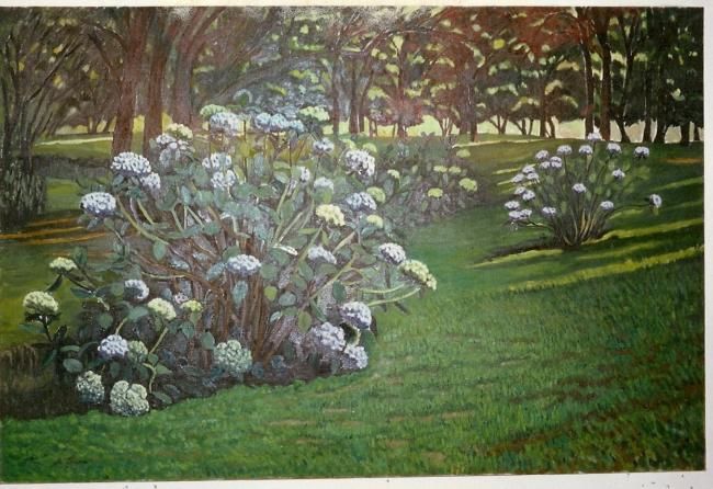 Pittura intitolato "Ortensie" da Angelo Sara, Opera d'arte originale