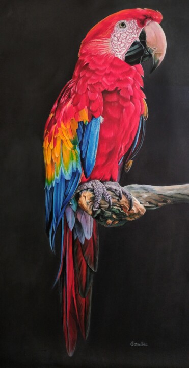 绘画 标题为“Папуга Ара” 由Sarovska, 原创艺术品, 油