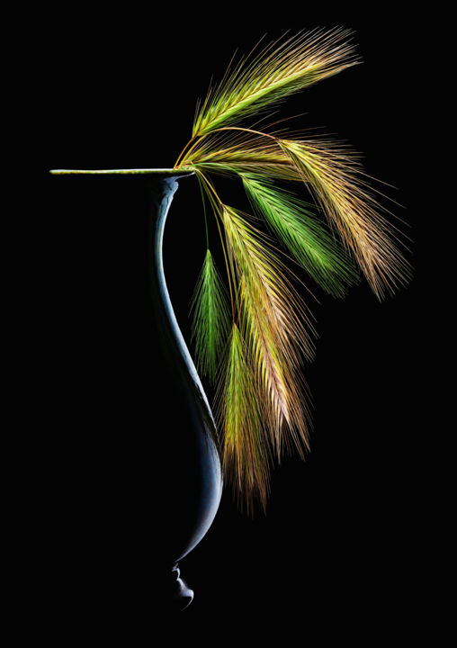 Fotografía titulada "Spikelets" por Sasha Rzhondkovsky, Obra de arte original, Light Painting