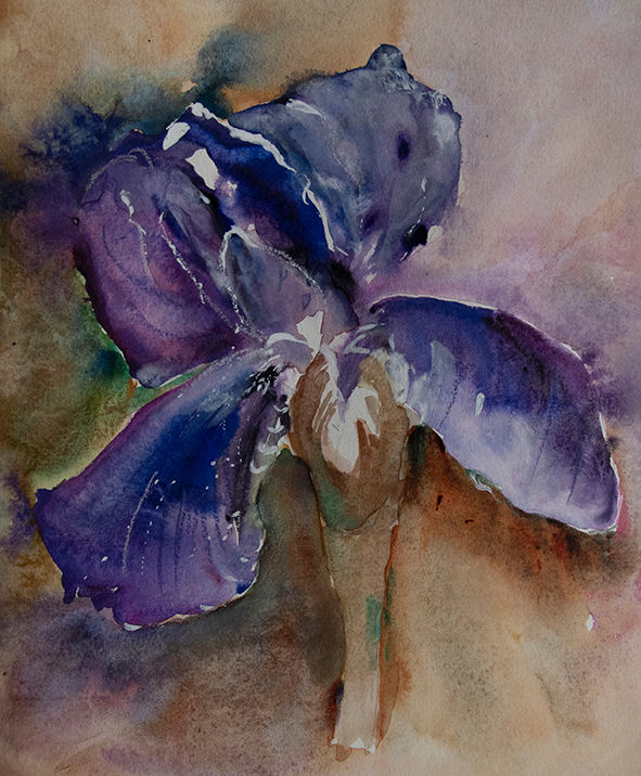 Painting titled "L iris,messagère du…" by Françoise Pinton Platen, Original Artwork, Watercolor