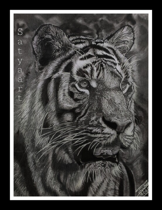 图画 标题为“Hyperrealistic tige…” 由Satyajeet Kumar, 原创艺术品, 铅笔