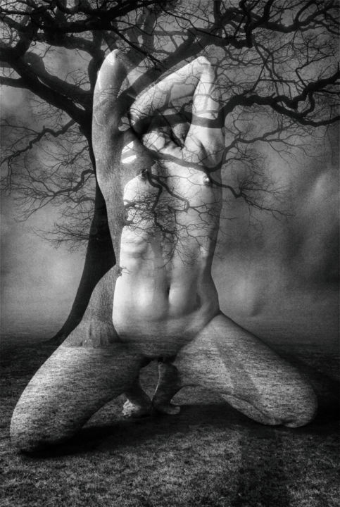 Digital Arts titled "Trees Woman" by Saverioftc, Original Artwork, 2D Digital Work