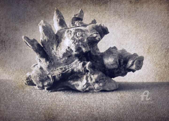 Photographie intitulée "Drago fumè" par Sbatina, Œuvre d'art originale