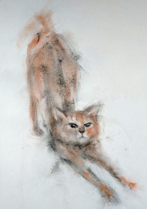 Disegno intitolato "Stray Cat" da Sbboursot, Opera d'arte originale, Carbone