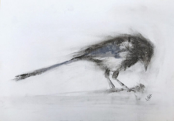 Tekening getiteld "Magpie (sketch)" door Sbboursot, Origineel Kunstwerk, Houtskool