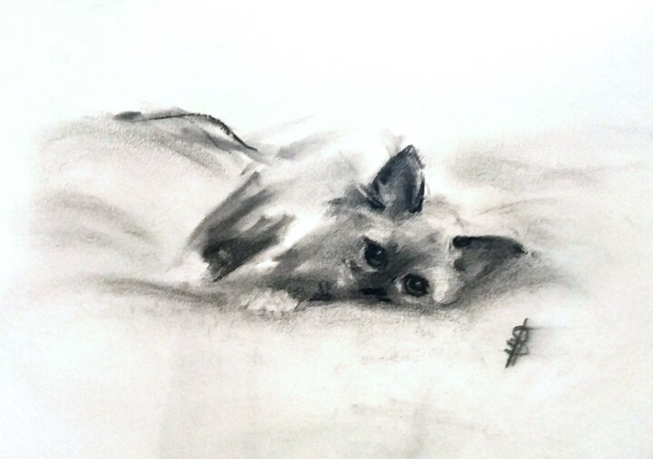 Drawing titled "Kitty in a Duvet" by Sbboursot, Original Artwork, Charcoal