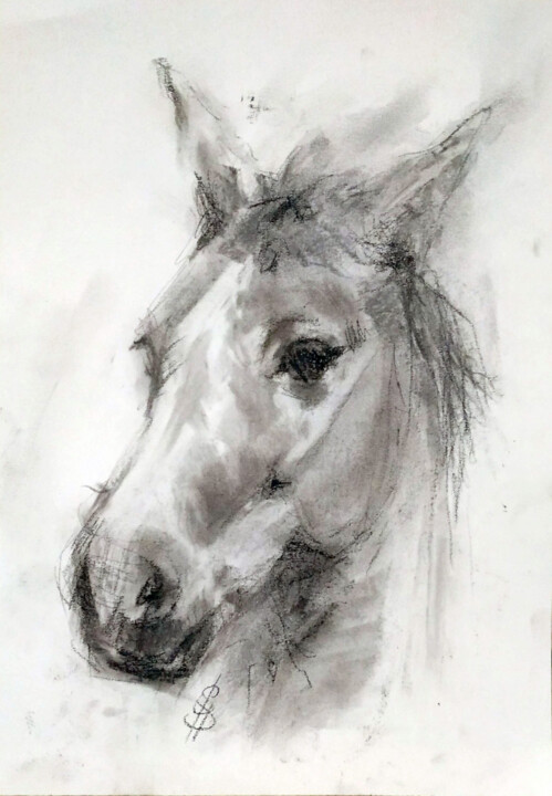 Drawing titled "Horse III" by Sbboursot, Original Artwork, Charcoal