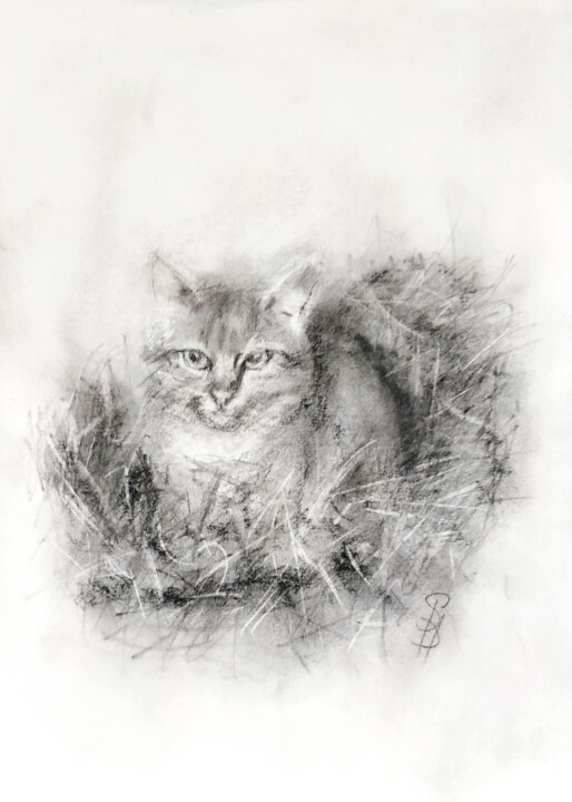 Σχέδιο με τίτλο "Stray Cat in Straw" από Sbboursot, Αυθεντικά έργα τέχνης, Κάρβουνο