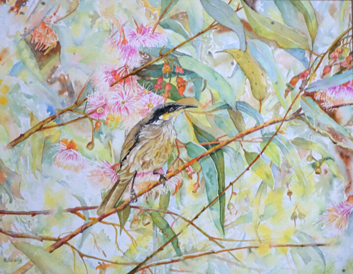 Painting titled "W490 Honeyeater wit…" by Scally Art, Original Artwork, Watercolor