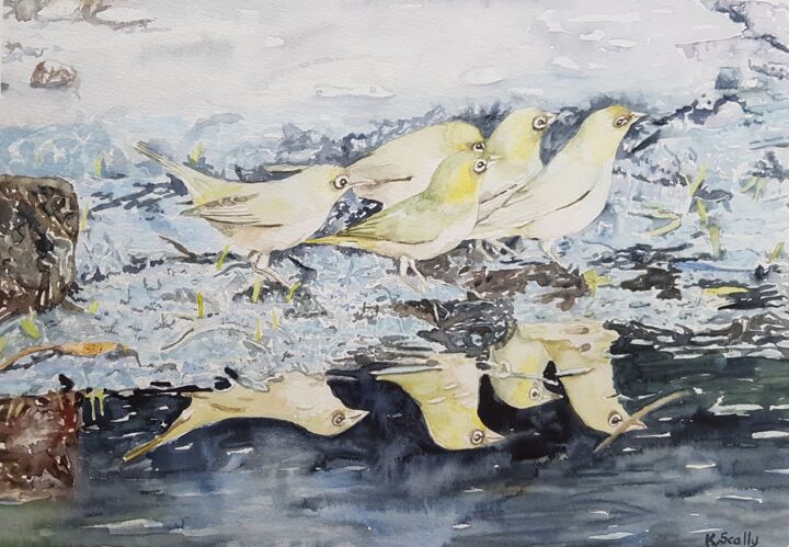 Malerei mit dem Titel "Silvereyes" von Scally Art, Original-Kunstwerk, Aquarell