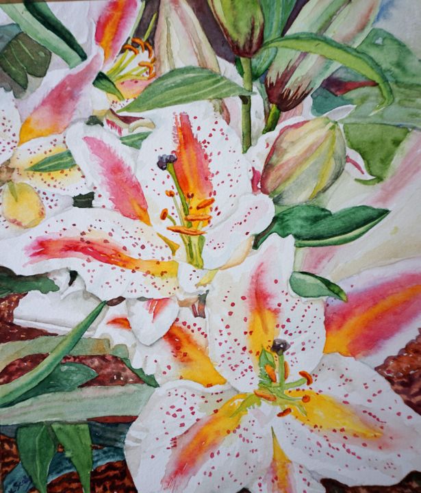 Painting titled "Lily" by Scally Art, Original Art, Watercolor