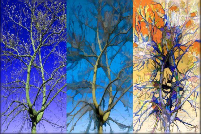 Arte digitale intitolato "trittico alberi" da Scarface, Opera d'arte originale
