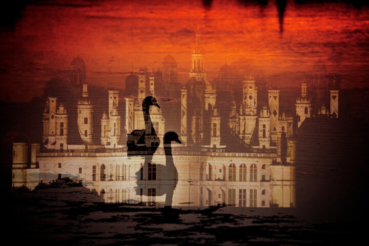 Photography titled "Cygnes de Chambord" by Pierre Schwartz, Original Artwork, Manipulated Photography