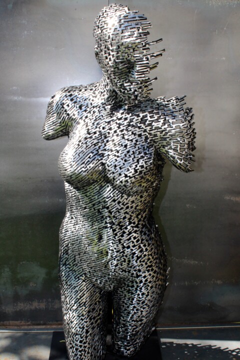 Sculpture titled "Fade in to static" by Scott Wilkes, Original Artwork, Metals