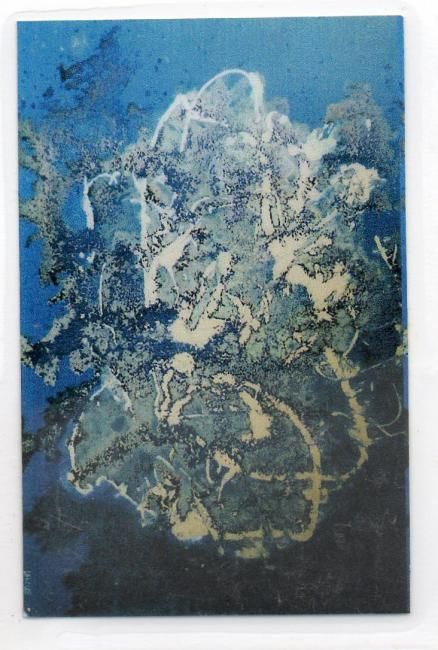 Painting titled "img002.jpg" by Stéphane Lavolée, Original Art,