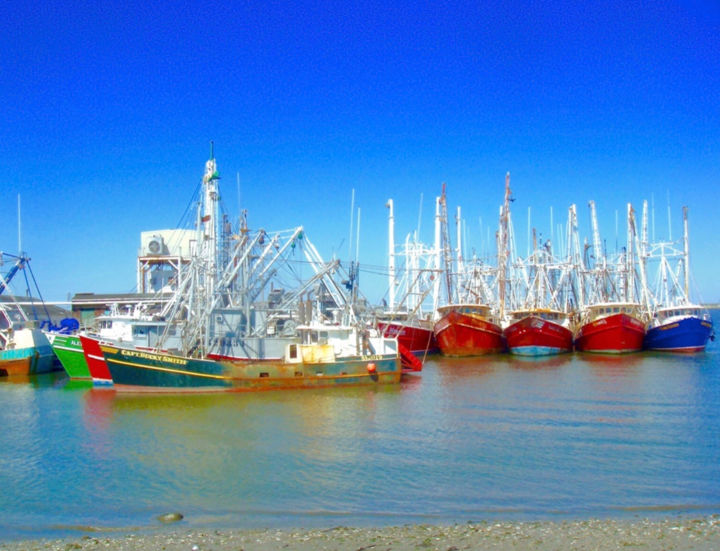 Photography titled "Cape May Harbor Fis…" by Stephen D. Smith, Original Artwork, Digital Photography