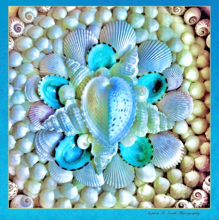 Photography titled "Seashells: "Sailor'…" by Stephen D. Smith, Original Artwork, Digital Photography
