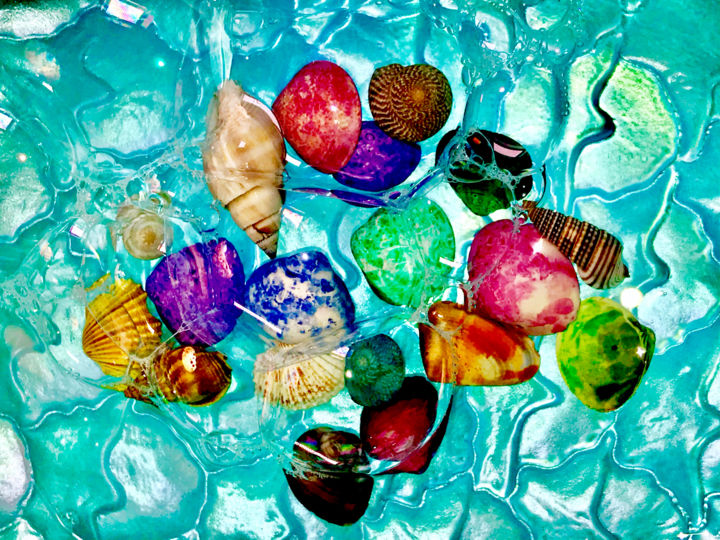 Photography titled "Seashell Collection…" by Stephen D. Smith, Original Artwork, Digital Photography