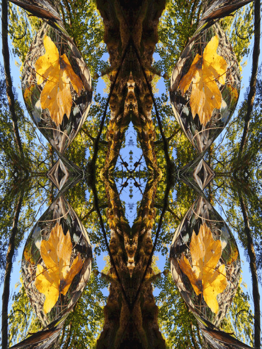 Digital Arts titled "Autumn Forest 12" by Kenneth Grzesik, Original Artwork, Digital Painting