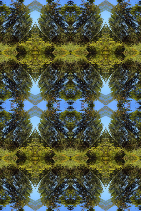 Digital Arts titled "Forest Abstract 9" by Kenneth Grzesik, Original Artwork, Digital Painting