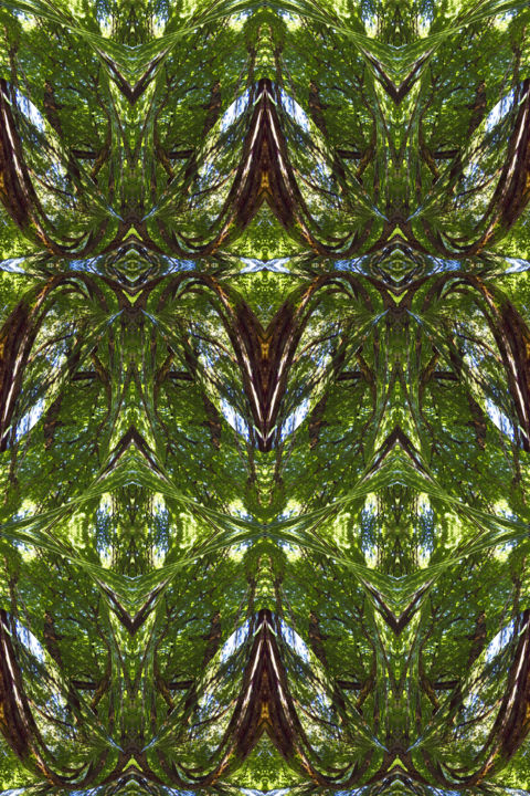 Digital Arts titled "Forest Abstract 17" by Kenneth Grzesik, Original Artwork, Digital Painting
