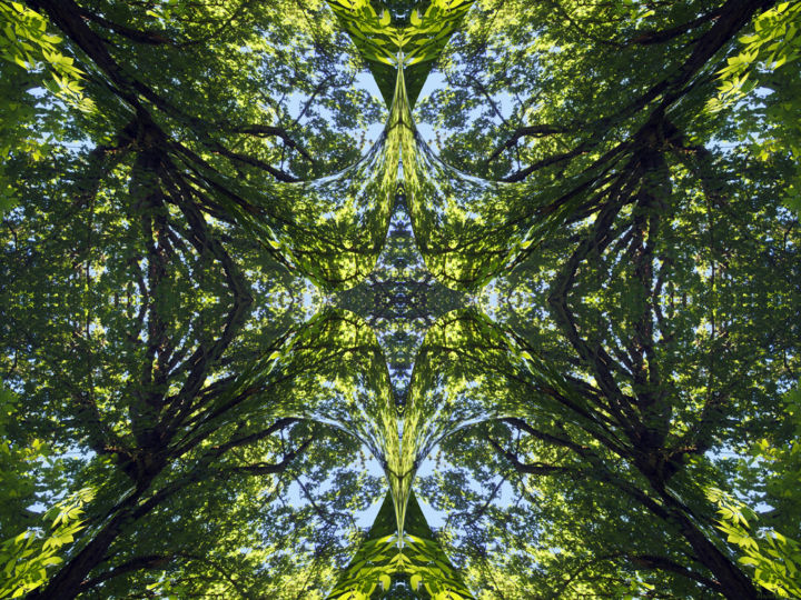 Arts numériques intitulée "Forest Abstract 22" par Kenneth Grzesik, Œuvre d'art originale, Peinture numérique