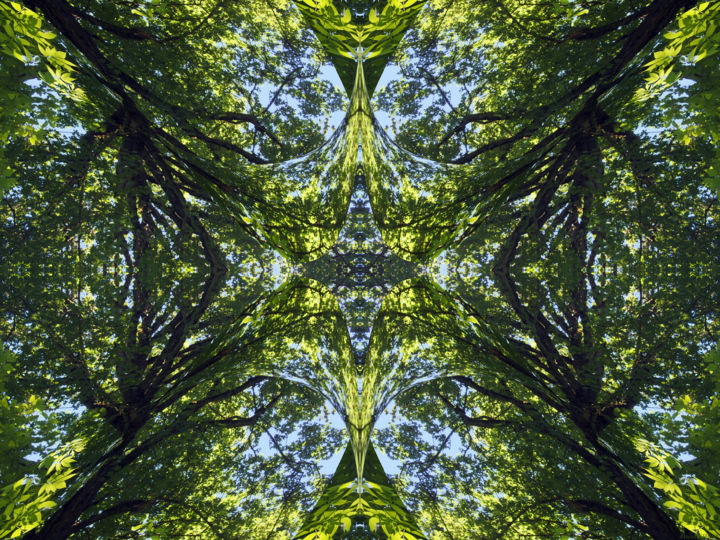 Digital Arts titled "Forest Abstract 22" by Kenneth Grzesik, Original Artwork, Digital Painting