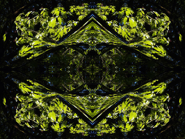 Digitale Kunst mit dem Titel "Forest Abstract 24" von Kenneth Grzesik, Original-Kunstwerk, Digitale Malerei