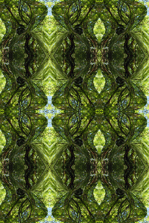 Digital Arts titled "Forest Abstract 27" by Kenneth Grzesik, Original Artwork, Digital Painting