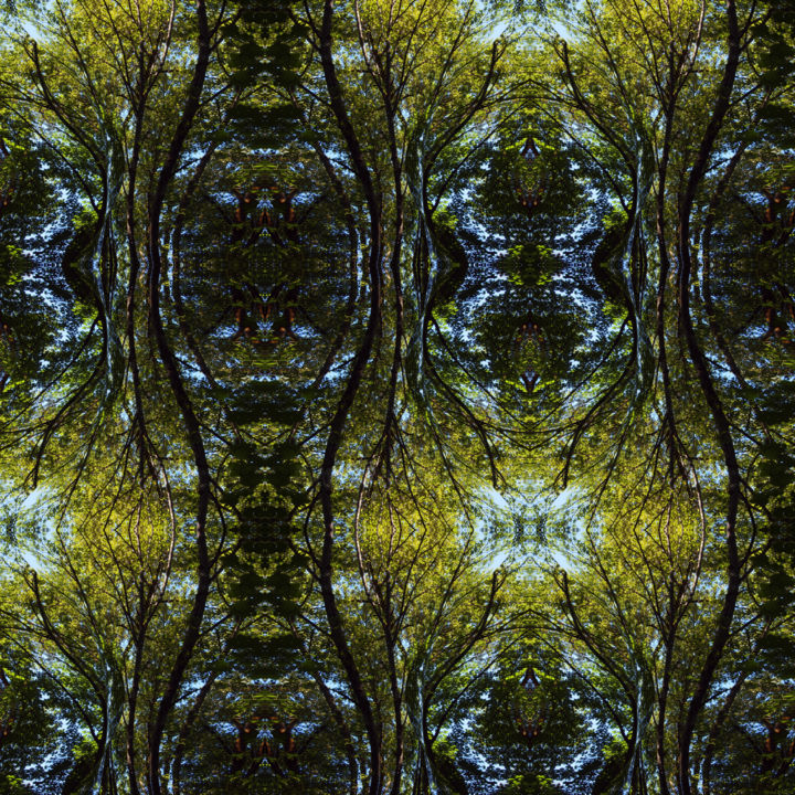 Digital Arts titled "Forest Abstract 37" by Kenneth Grzesik, Original Artwork, Digital Painting