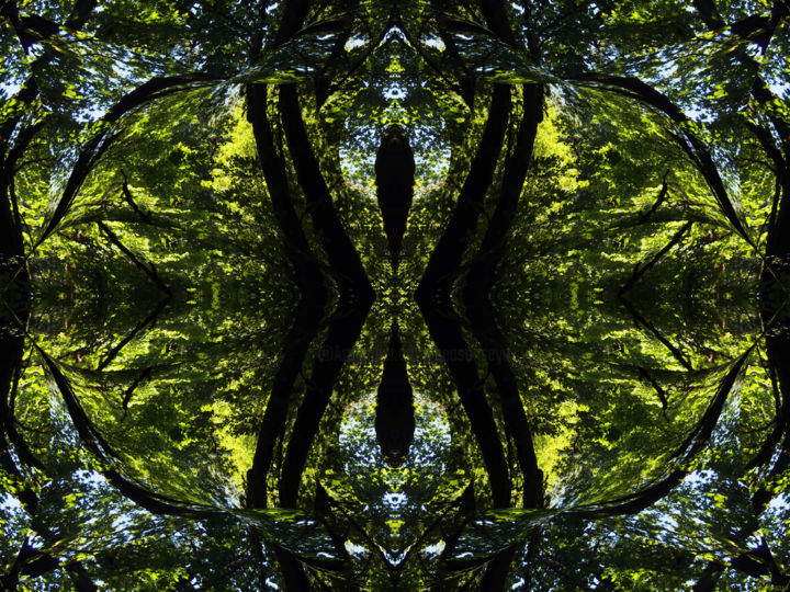 Digital Arts titled "Forest Abstract 38" by Kenneth Grzesik, Original Artwork, Digital Painting