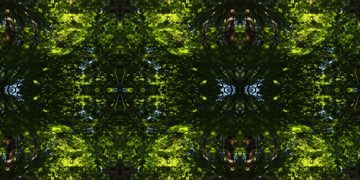 Digital Arts titled "Forest Abstract 40" by Kenneth Grzesik, Original Artwork, Digital Painting