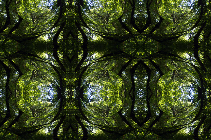 Arts numériques intitulée "Forest Abstract 42" par Kenneth Grzesik, Œuvre d'art originale, Peinture numérique