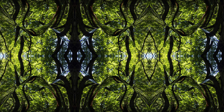 Digital Arts titled "Forest Abstract 60" by Kenneth Grzesik, Original Artwork, 2D Digital Work