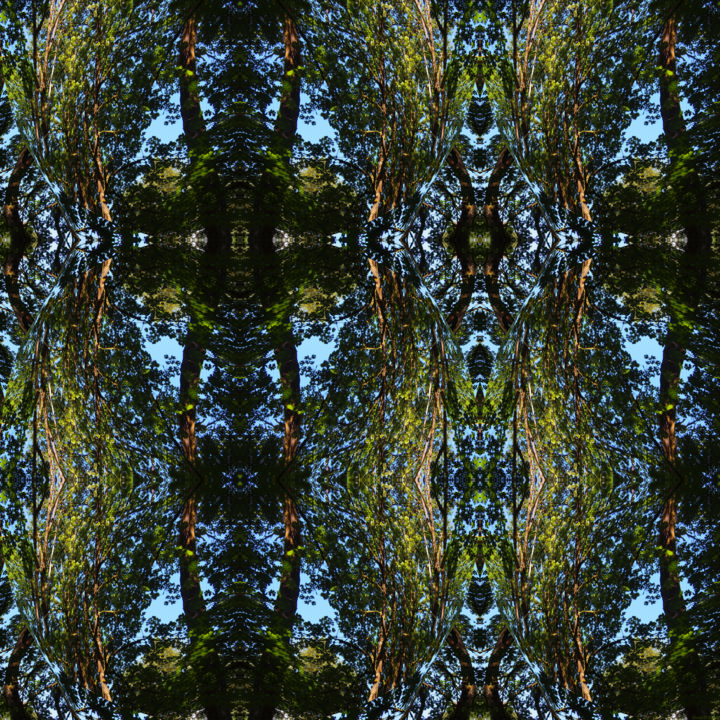 "Forest Abstract 64" başlıklı Dijital Sanat Kenneth Grzesik tarafından, Orijinal sanat, 2D Dijital Çalışma