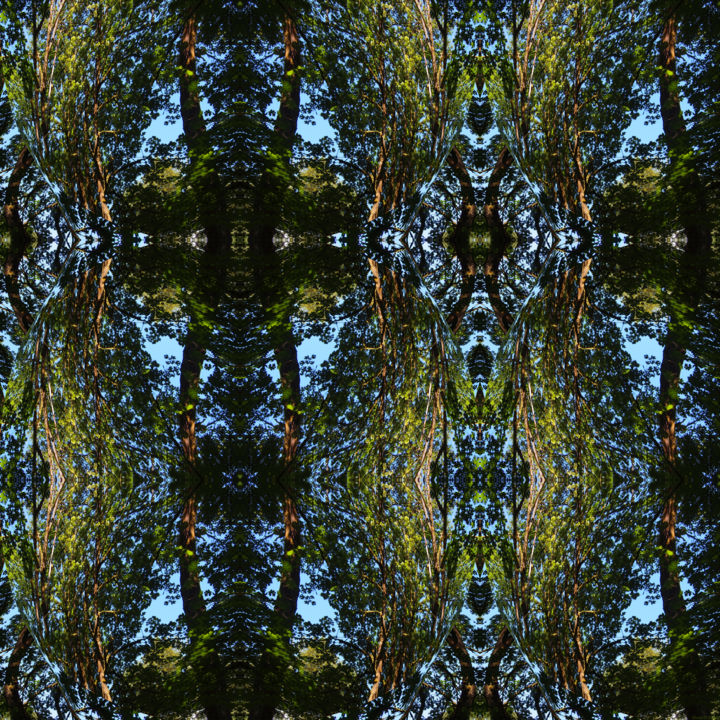 Digital Arts titled "Forest Abstract 64" by Kenneth Grzesik, Original Artwork, 2D Digital Work