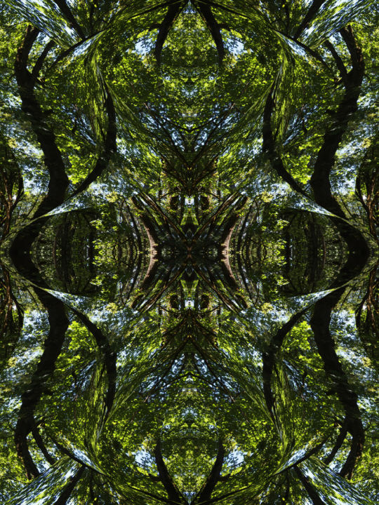 Цифровое искусство под названием "Forest Abstract 66" - Kenneth Grzesik, Подлинное произведение искусства, 2D Цифровая Работа